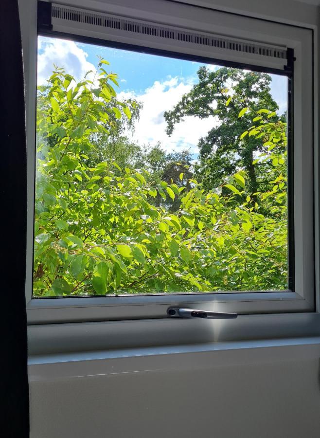 Lodge Goudvink Nunspeet Veluwe Kültér fotó