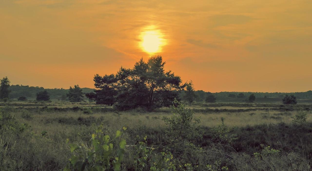 Lodge Goudvink Nunspeet Veluwe Kültér fotó