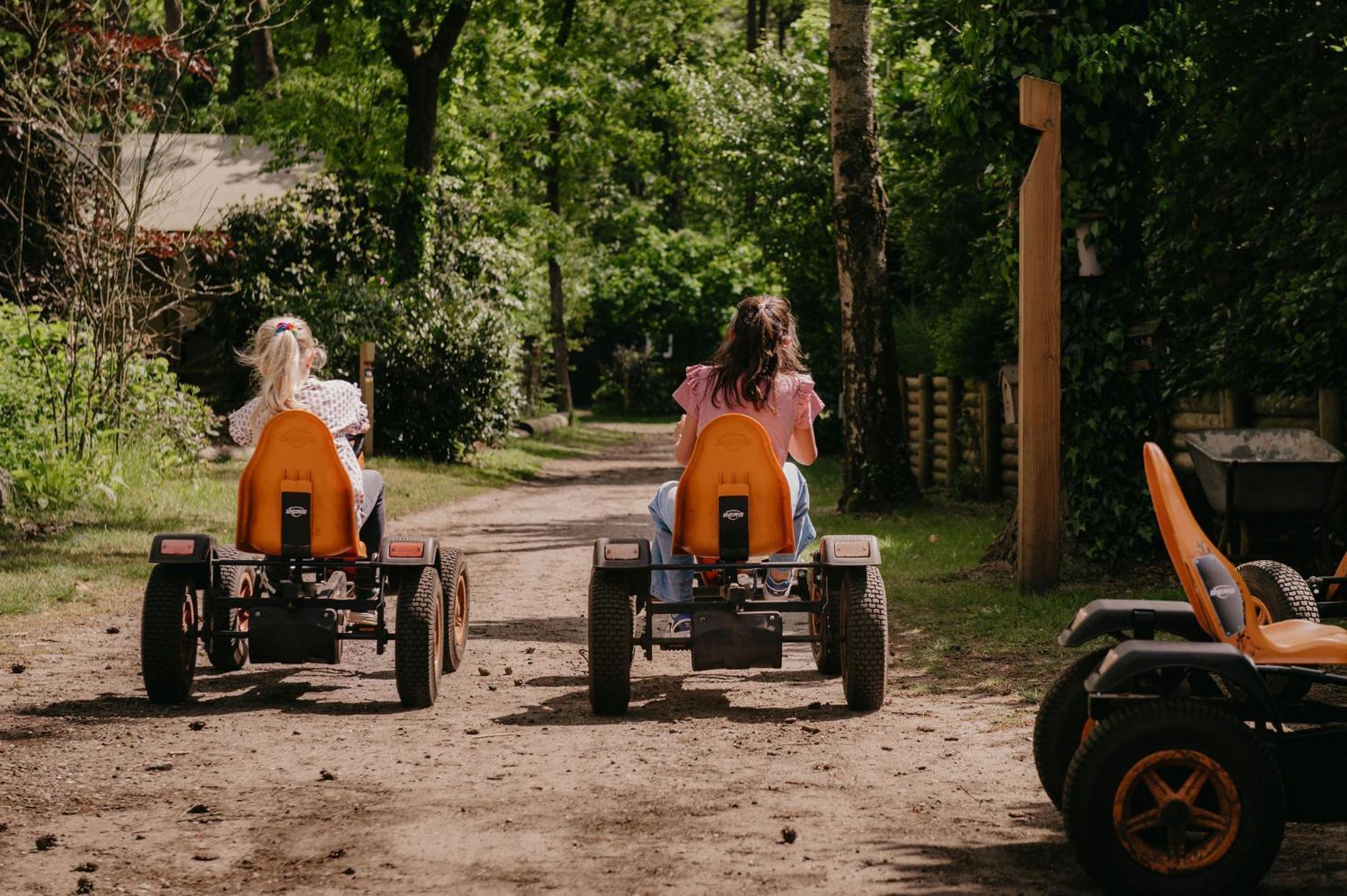 Lodge Goudvink Nunspeet Veluwe Kültér fotó