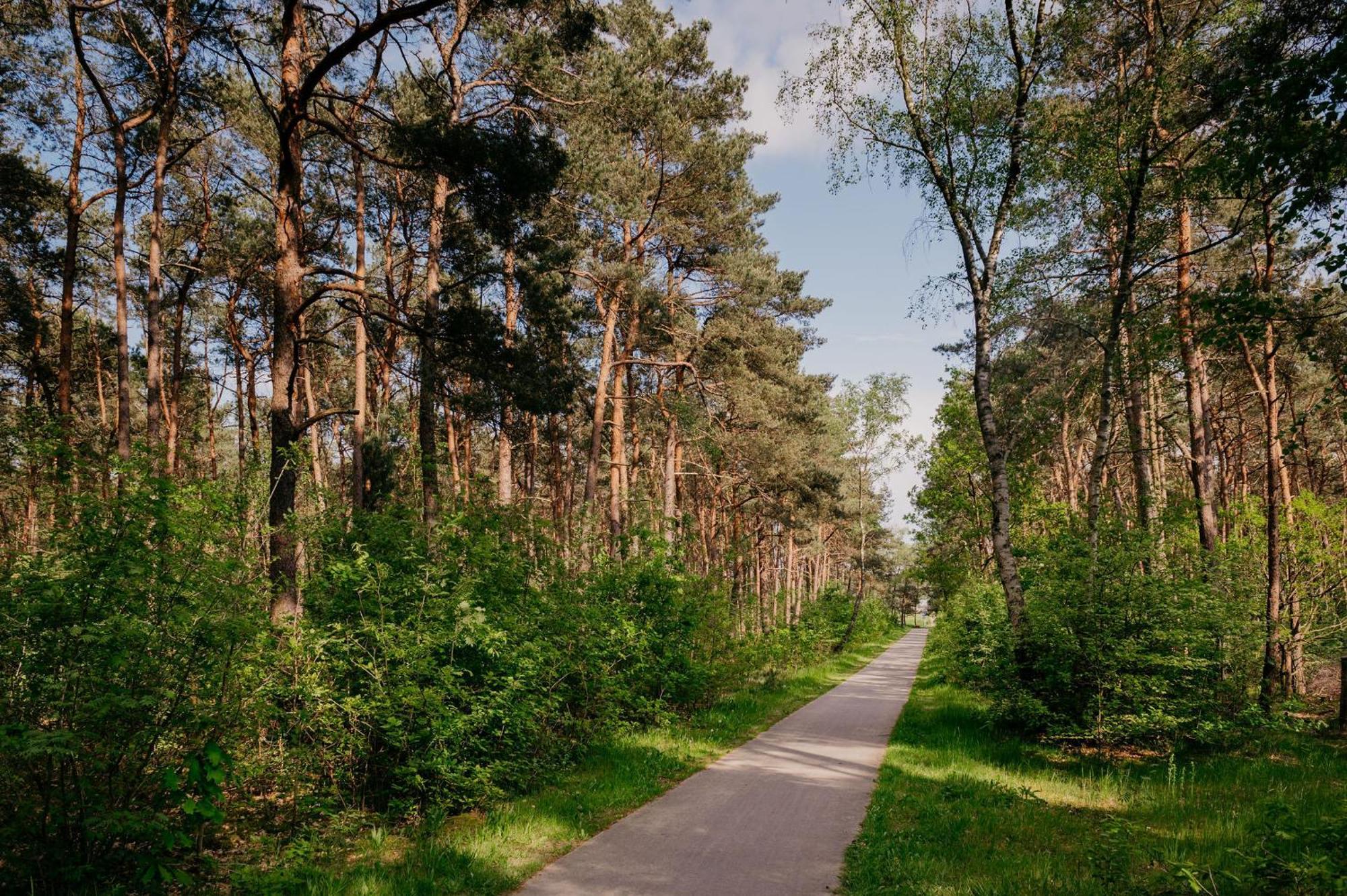 Lodge Goudvink Nunspeet Veluwe Kültér fotó
